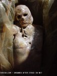untitled123.JPG