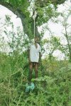 hanging B.jpg