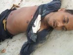 -rubaomalhado_493481327.jpg