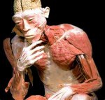 plastination2.jpg