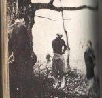 3x aan de boom.JPG