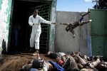world-press-photo-best-pictures-contest-2011-olivier-laban-mattei-port-au-prince-haiti-morgue_32.jpg