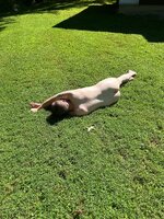 IMG_4605.JPEG