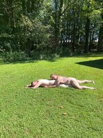 IMG_4630.JPG