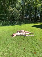 IMG_4699.JPG