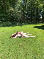 IMG_4717.JPG