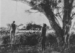 Hereros Hanged.jpg