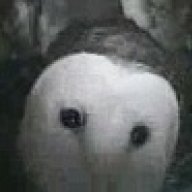 Psycho_Muffin