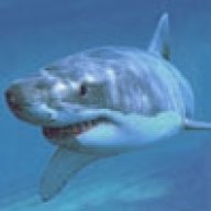 SharK2487
