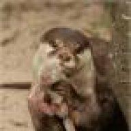 unknown074