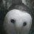 Psycho_Muffin