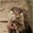 unknown074