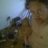 extreme_mazo
